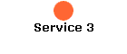 Service 3